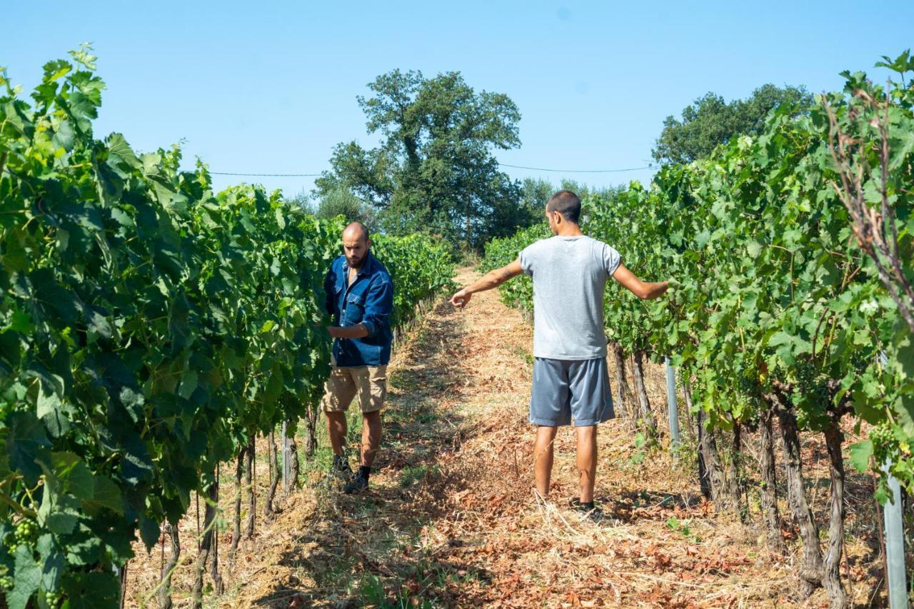 Agriturismo Colle Vento Суверето Экстерьер фото
