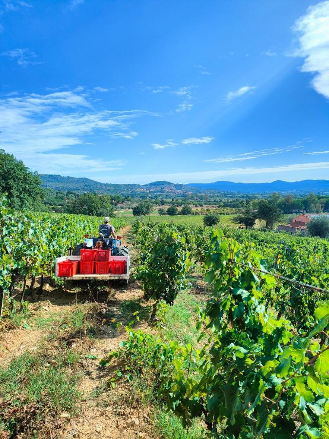 Agriturismo Colle Vento Суверето Экстерьер фото